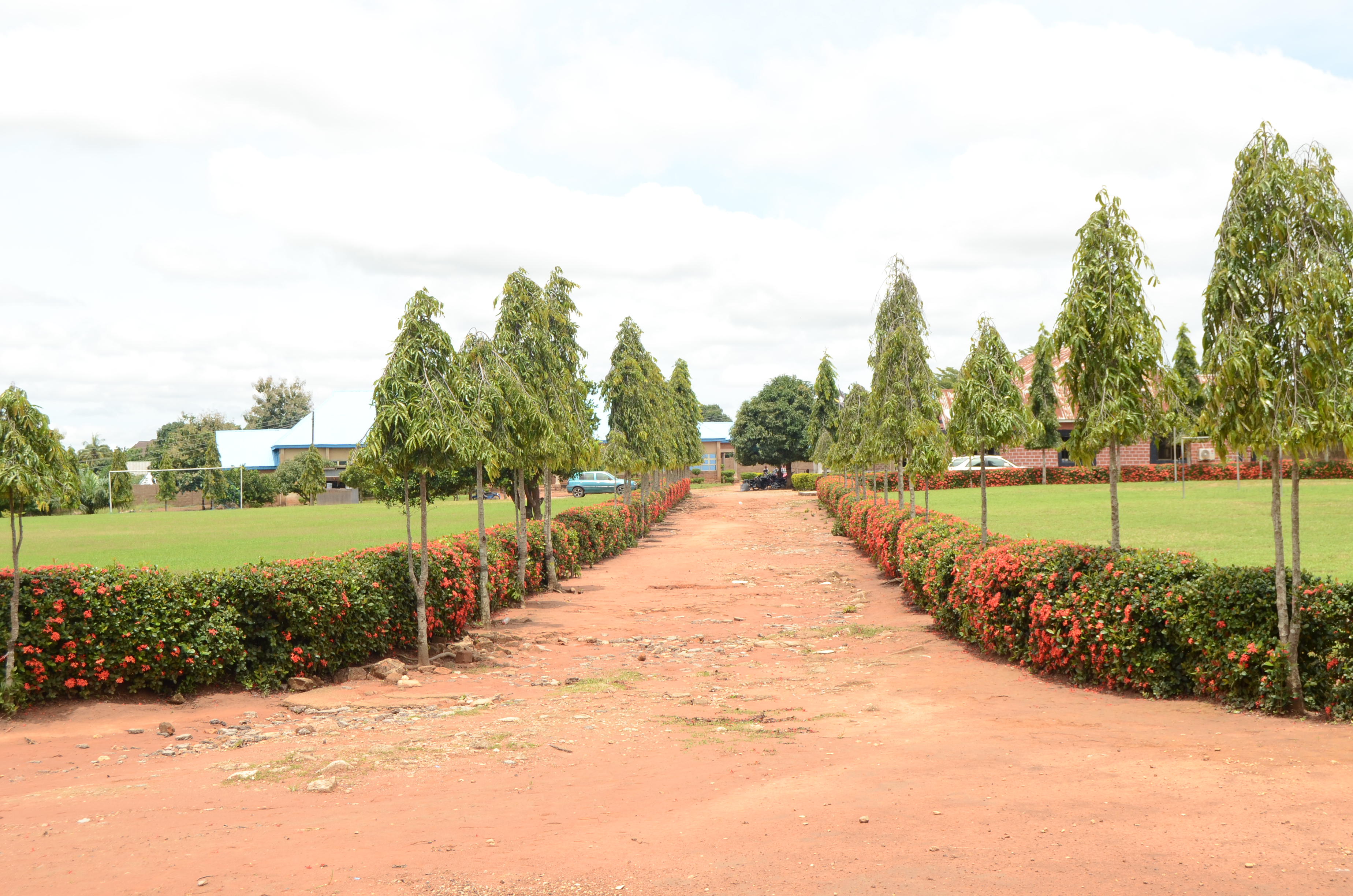 St. Winifred's Environment and Facilities